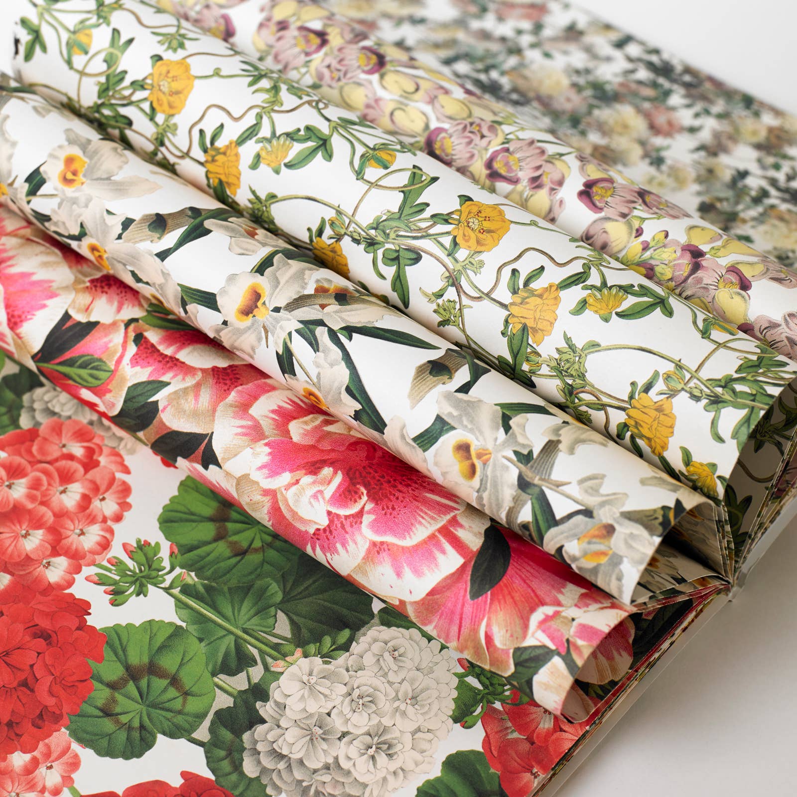 Flower Prints Gift & Creative Paper Book