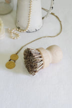 Pot Brush
