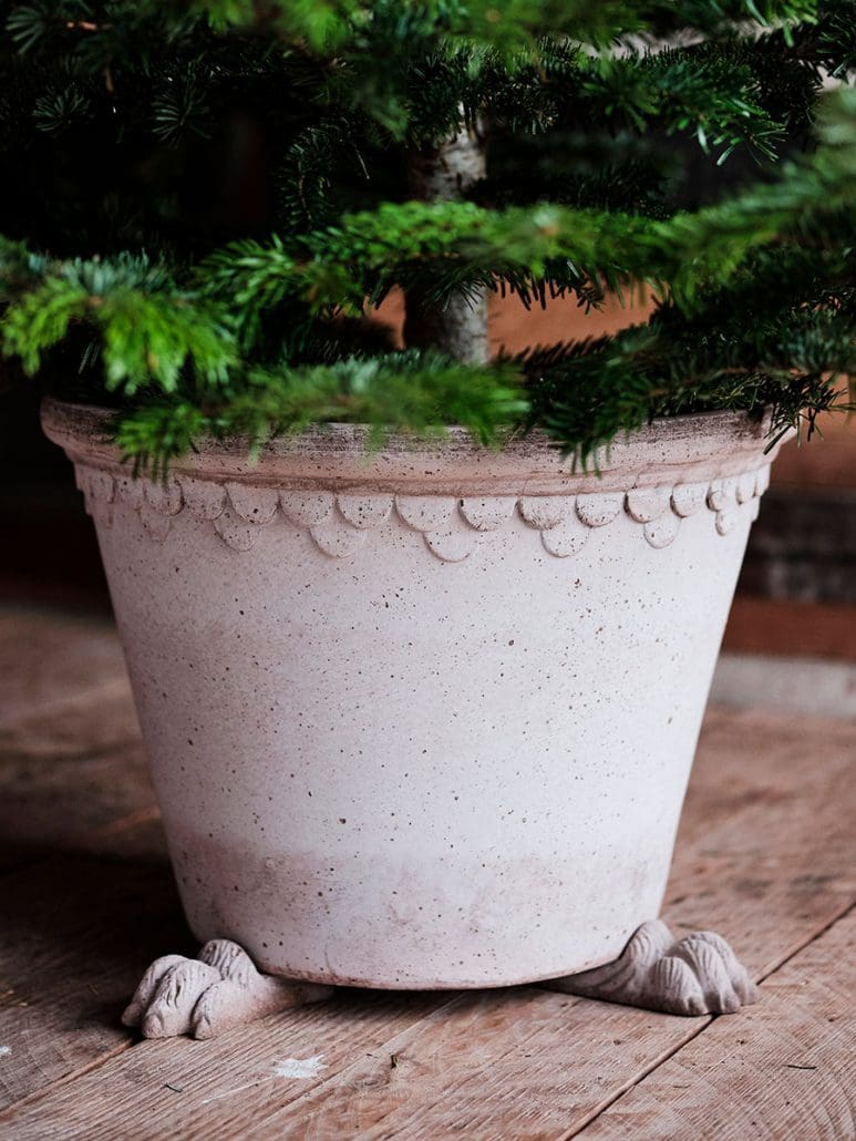 Lion Paw Raw Rosa Pot Feet