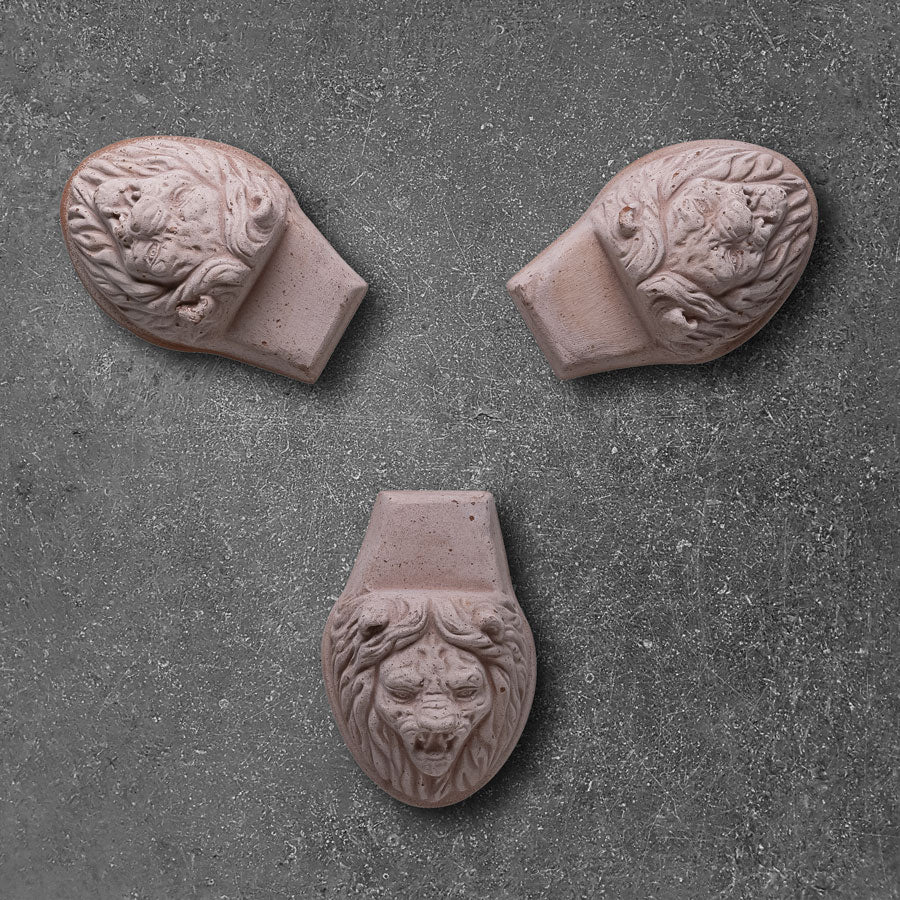 Lion Head Raw Rosa
