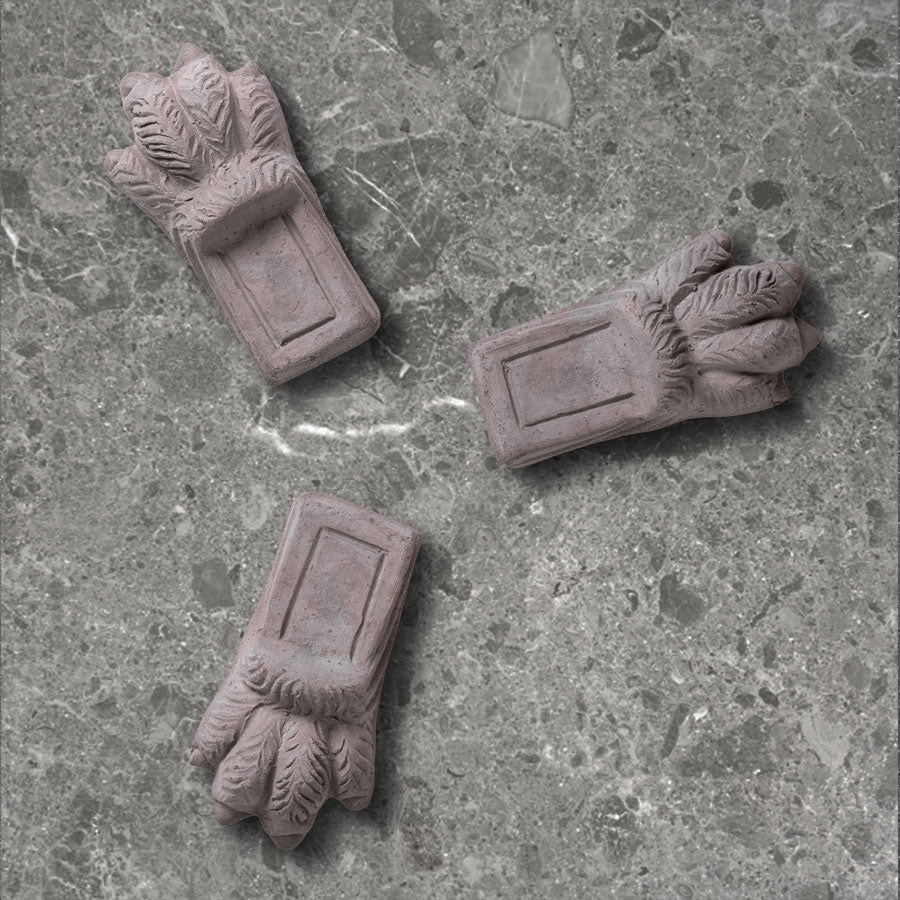 Lion Paw Raw Rosa Pot Feet