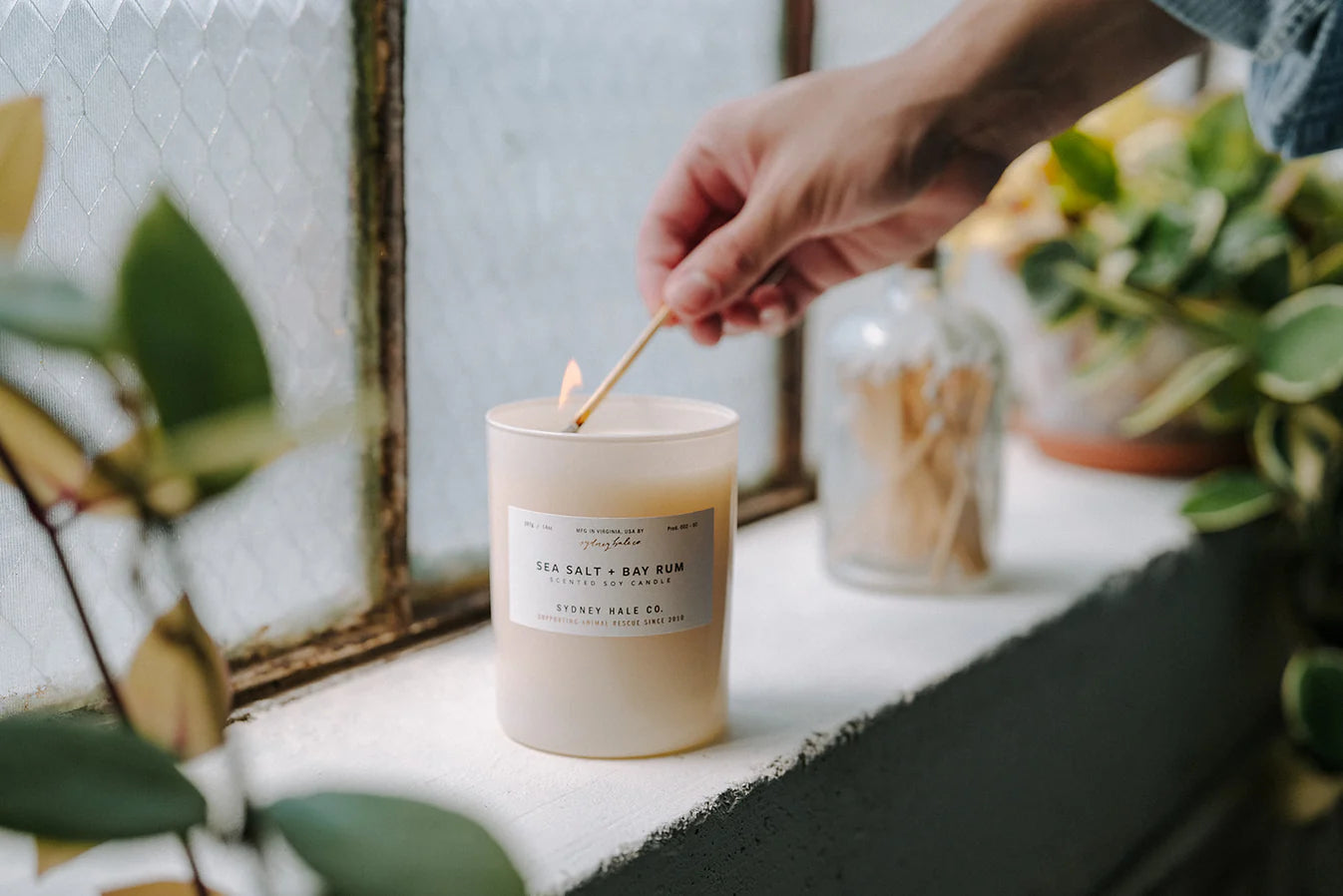 Sea Salt + Bay Rum Candle
